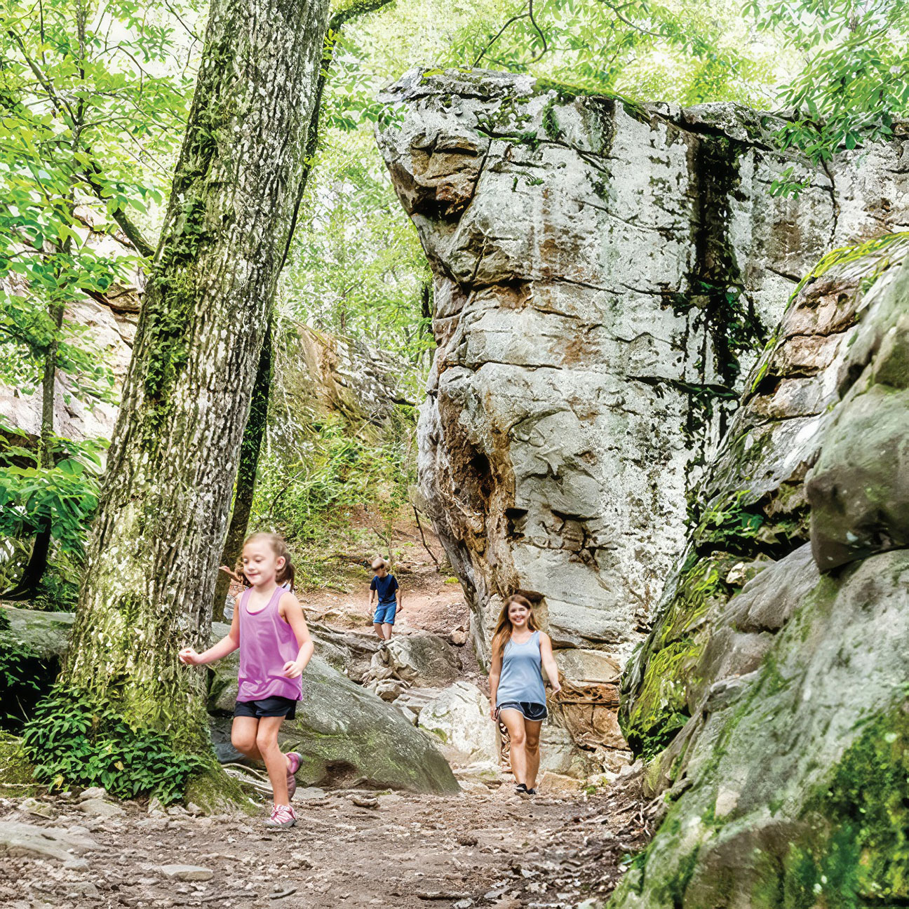 Mossrock Hiking Trail in Hoover, Alabama