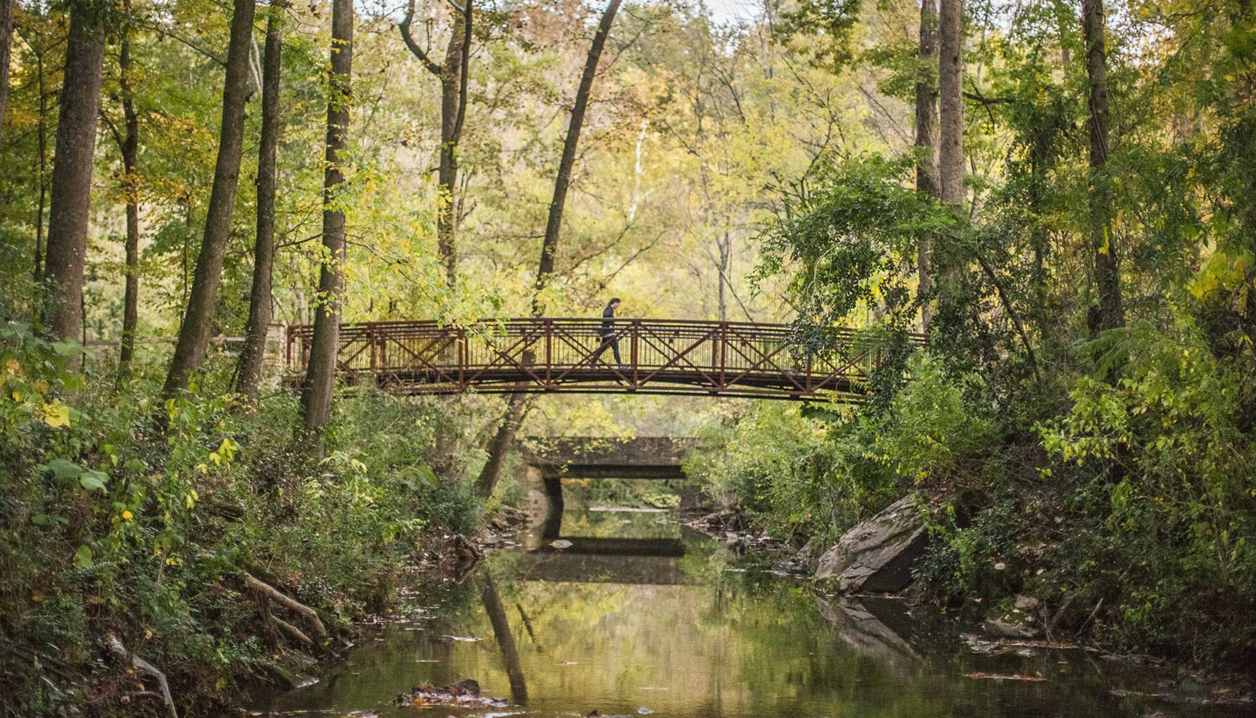 Mountain Brook